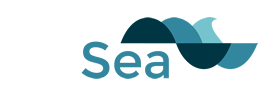 dBSea